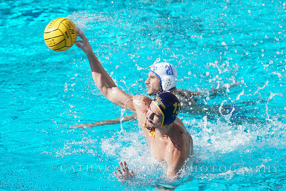MWP: California Golden Bears vs UCLA Bruins