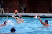 USA Water Polo National League