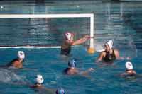 Cal vs SJSU at California Speedo Cup