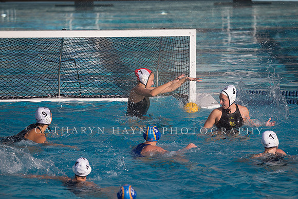 Cal vs SJSU at California Speedo Cup