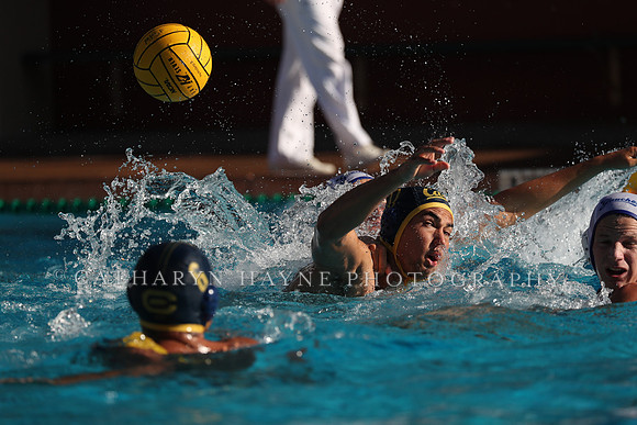 Collegiate Mens Water Polo: MPSF Invitational: California Golden Bears vs UC Santa Barbara Gauchos