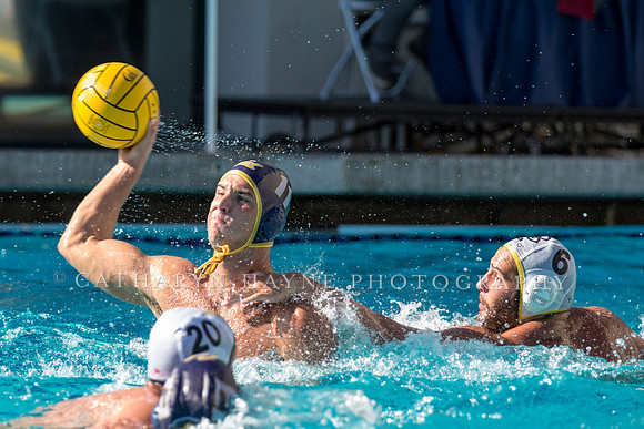 20141102CalvLBSUlr-69