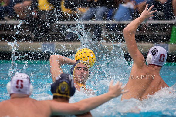 Cal vs Stanford at Mountain Pacific Sports Federation 2016