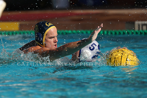 Collegiate Mens Water Polo: MPSF Invitational: California Golden Bears vs UC Santa Barbara Gauchos