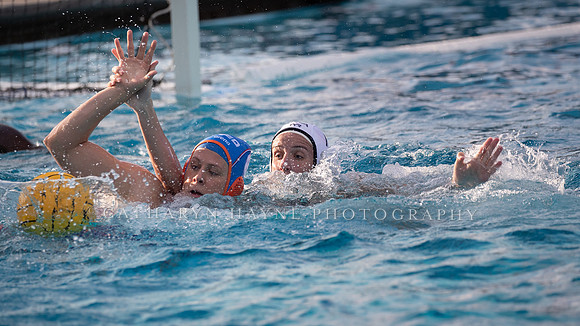 USA Water Polo Women's Water Polo Exhibition Series: USA vs Netherlands