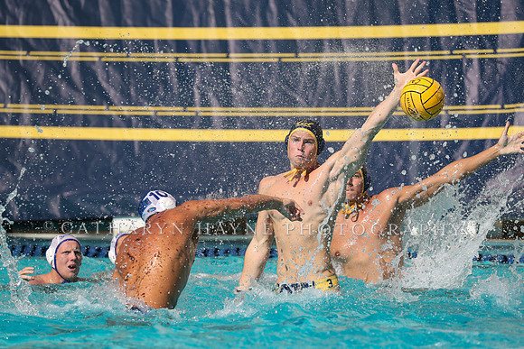 Collegiate Mens Water Polo: California Golden Bears vs UC Santa Barbara Gauchos