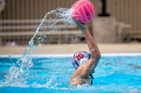 Youth Water Polo: Kap 7: U19 San Francisco Water Polo Club vs Thunder Polo Black
