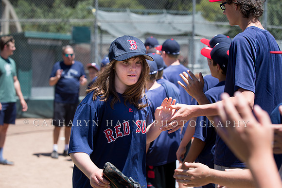 Project Awareness and Special Sports Baseball,