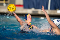 Cal vs UC Davis at California Speedo Cup