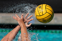 2019.02.22 Barbara Kalbus Invitational: California Golden Bears vs UC San Diego