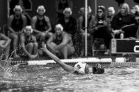 UC Irvine vs U Hawaii at Stanford Invitational