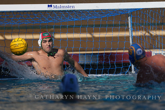MWP: Salem University Tigers vs UCLA Bruins