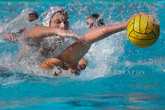 Collegiate Men's Water Polo: MPSF Invitational: UC San Diego Tritons vs Santa Clara University Broncos