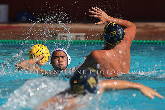 Collegiate Mens Water Polo: MPSF Invitational: California Golden Bears vs UC Santa Barbara Gauchos