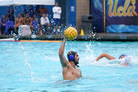 MWP:California Golden Bears vs UCSB Gauchos