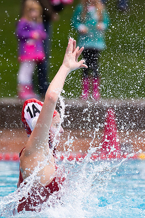 Collegiate Women's Water Polo: Stanford Invitational: California Golden Bears vs Indiana University Hoosiers