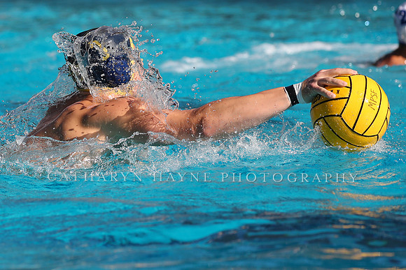 Collegiate Mens Water Polo: MPSF Invitational: California Golden Bears vs UC Santa Barbara Gauchos