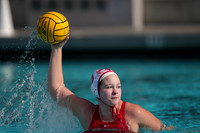 Emily Scheerer