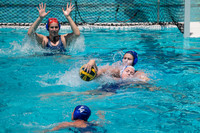 UCLA vs UC Davis at US Open Water Polo Tournament