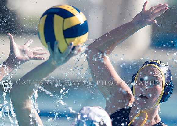 Cal vs San Jose State University at LouStrong Invitational