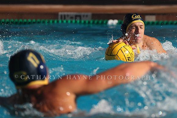 Collegiate Mens Water Polo: MPSF Invitational: California Golden Bears vs UC Santa Barbara Gauchos