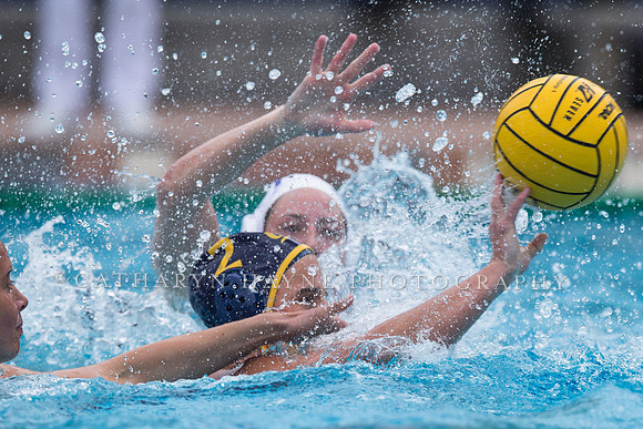 Cal vs SJSU at Stanford Invitational