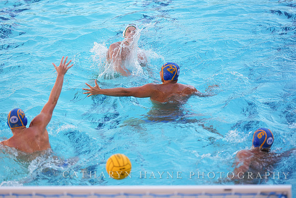 MWP: Salem University Tigers vs UCLA Bruins