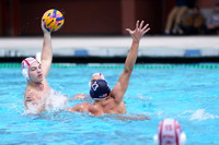 USA Water Polo National League
