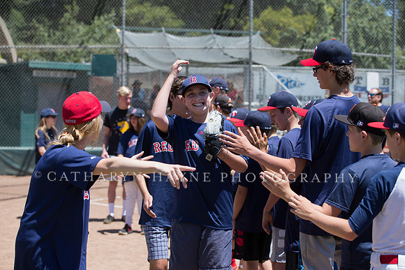 Project Awareness and Special Sports Baseball,