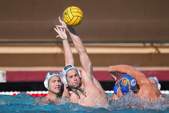 MWP: Salem University Tigers vs UCLA Bruins