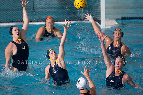 Cal vs Santa Clara at California Speedo Cup 2