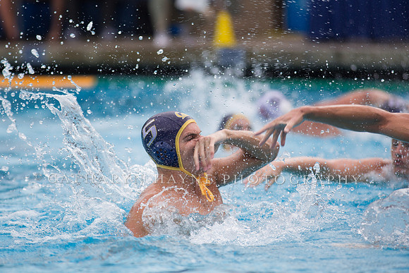 Cal vs Stanford at Mountain Pacific Sports Federation 2016