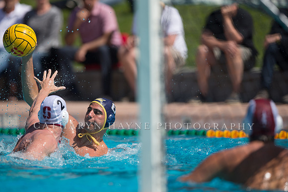 Cal vs Stanford at Stanford Spring Invitational Men's Water Polo