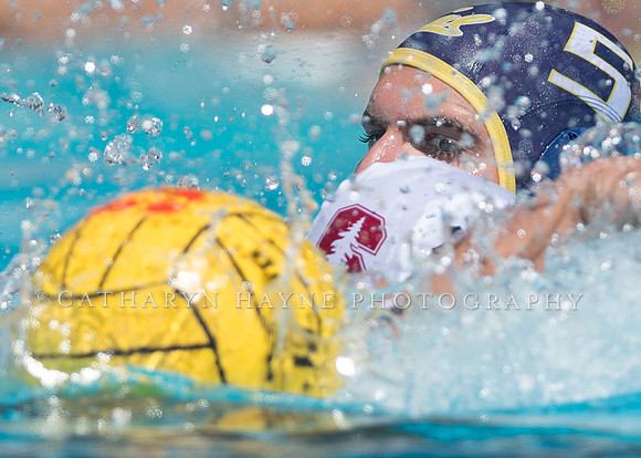 Cal vs Stanford at Stanford Spring Invitational Men's Water Polo