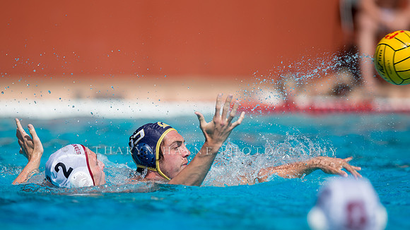 Cal vs Stanford at Stanford Spring Invitational Men's Water Polo