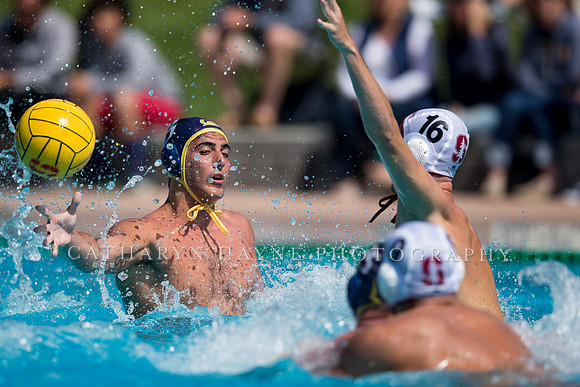 Cal vs Stanford at Stanford Spring Invitational Men's Water Polo