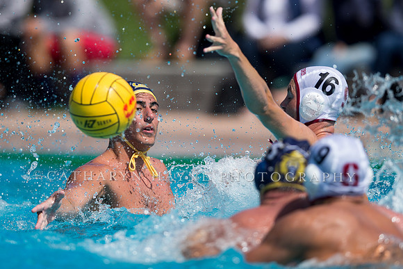 Cal vs Stanford at Stanford Spring Invitational Men's Water Polo