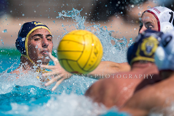 Cal vs Stanford at Stanford Spring Invitational Men's Water Polo