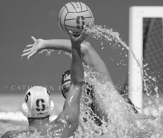 Cal vs Stanford at Stanford Spring Invitational Men's Water Polo