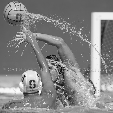 Cal vs Stanford at Stanford Spring Invitational Men's Water Polo