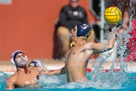 Cal vs Stanford at Stanford Spring Invitational Men's Water Polo