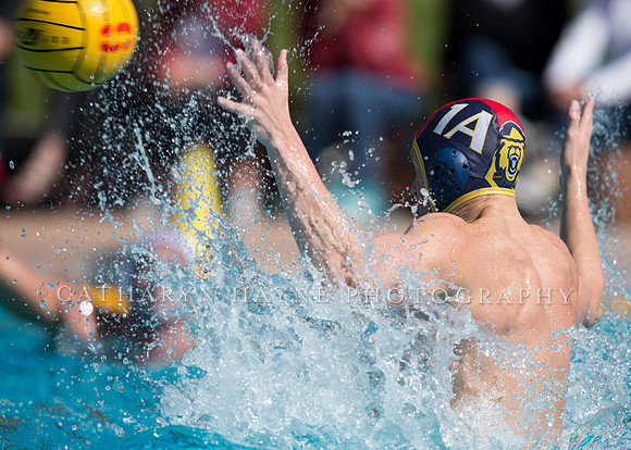 Cal vs Stanford at Stanford Spring Invitational Men's Water Polo