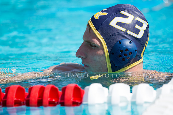 Cal vs Stanford at Stanford Spring Invitational Men's Water Polo