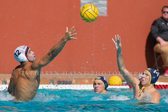 Cal vs Stanford at Stanford Spring Invitational Men's Water Polo