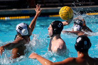 High School Water Polo: Redwood High School Varsity vs Palo Alto High School Varsity