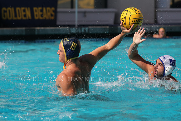 Collegiate Mens Water Polo: California Golden Bears vs UC Santa Barbara Gauchos