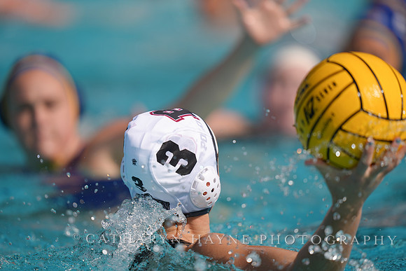 WWP: Brown University Bears vs SJSU Spartans