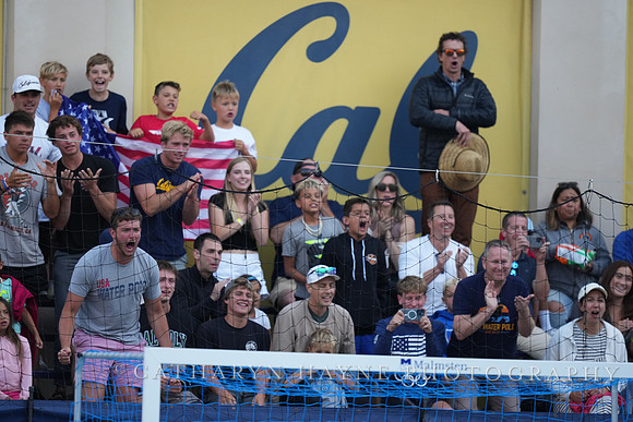 Fans
