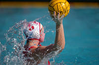 Emily Scheerer