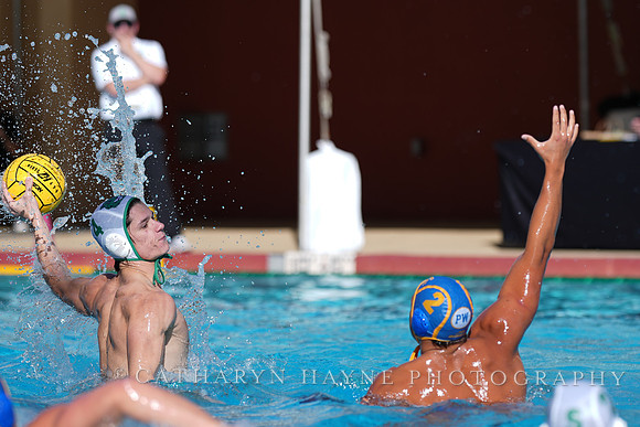 MWP: Salem University Tigers vs UCLA Bruins